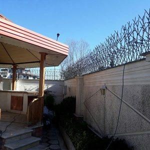 حفاظ شاخ گوزنی